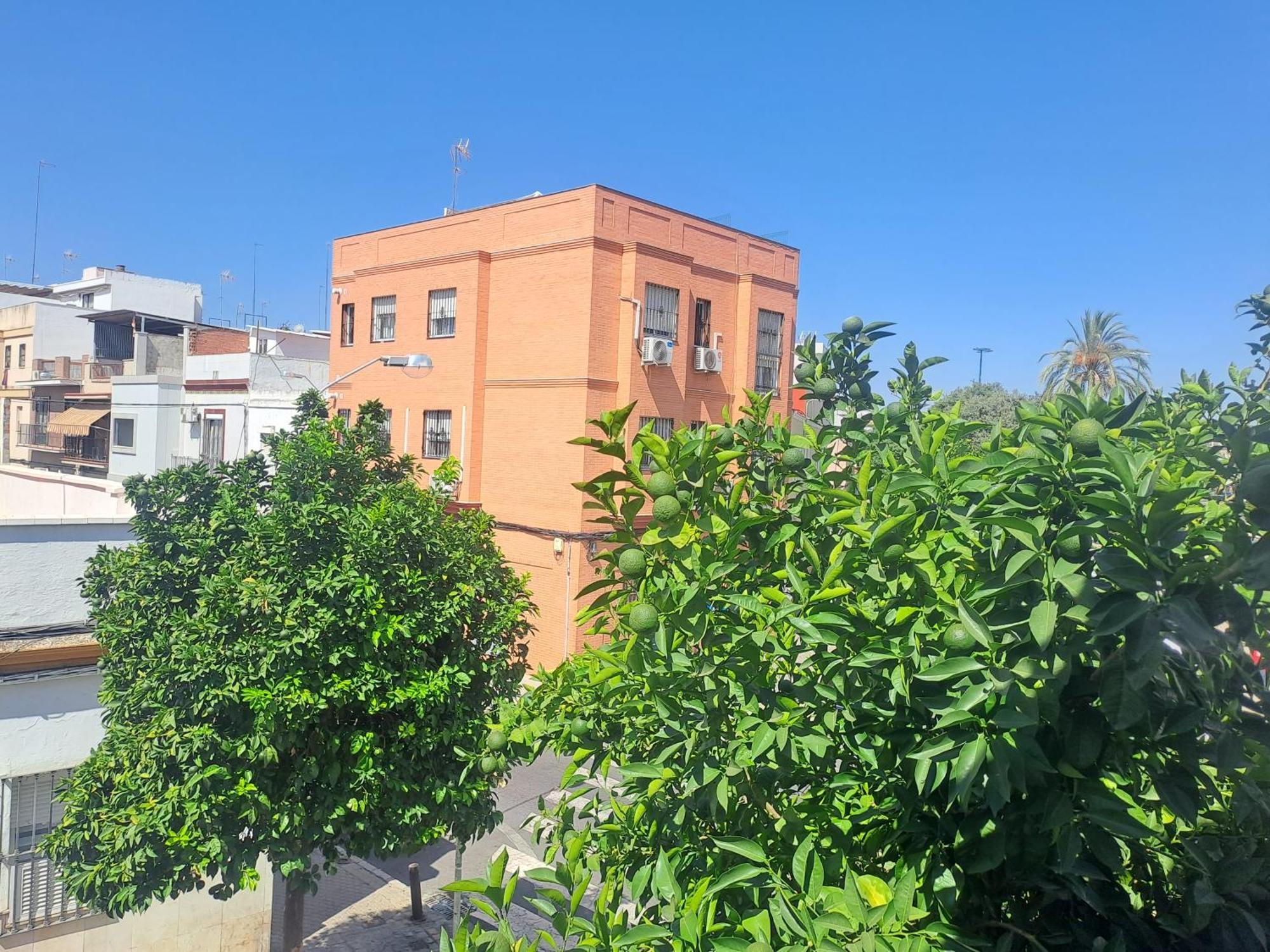 Appartement Casa Salma à Séville Extérieur photo